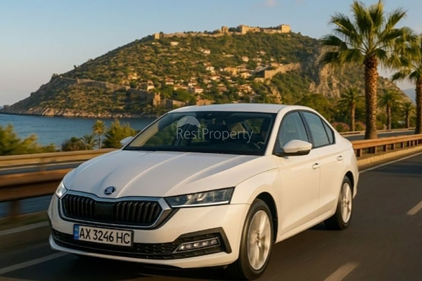 Нові правила для автомобілів з українськими номерами в Туреччині