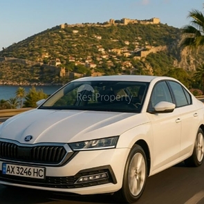 Нові правила для автомобілів з українськими номерами в Туреччині