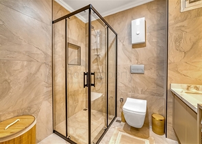 Інвестиційний проект в центрі Аланії