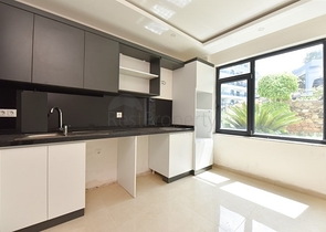 Шикарний дуплекс під громадянство