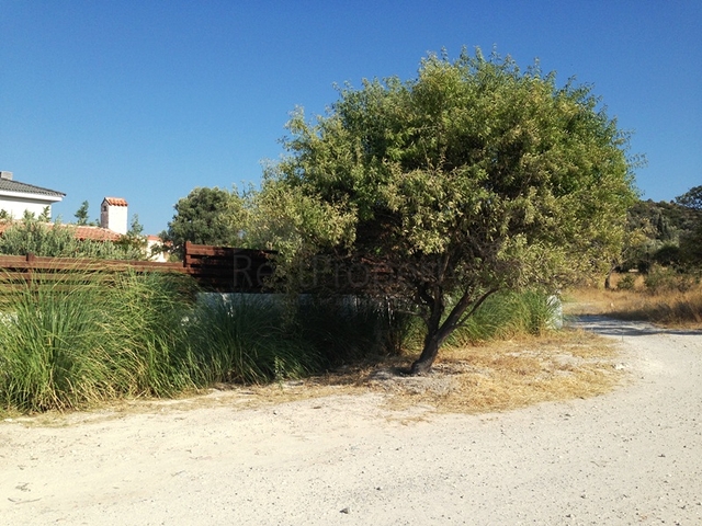 Вілла з великою ділянкою із зеленим садом в Алачати