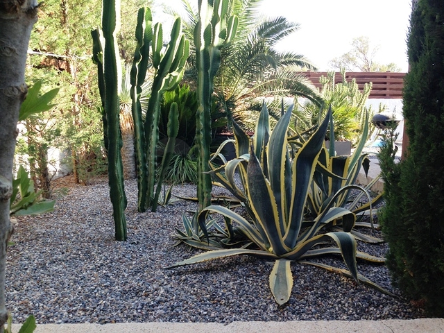 Вілла з великою ділянкою із зеленим садом в Алачати