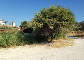 Вілла з великою ділянкою із зеленим садом в Алачати