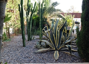 Вілла з великою ділянкою із зеленим садом в Алачати