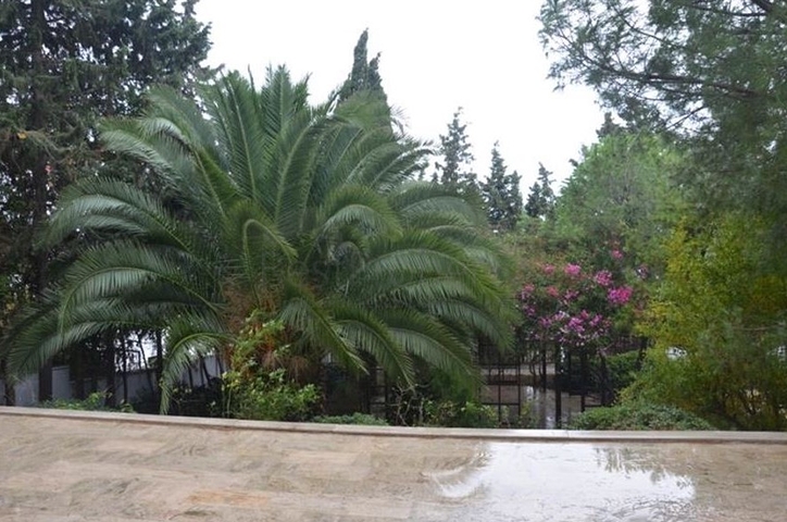 Вілла плануванням 3+2 для великої родини Вілла плануванням 3+2 для великої родини