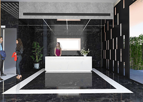 Приголомшливий чудовий проект в елітному районі Шишлі