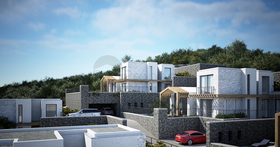 Окремо розташовані вілли з унікальною архітектурою в районі Гюмюшлюк