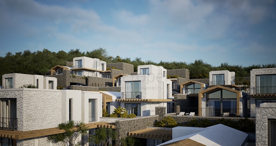 Окремо розташовані вілли з унікальною архітектурою в районі Гюмюшлюк