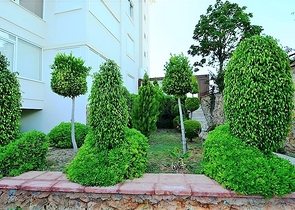 Пентхаус з панорамним видом на море в районі Тосмур