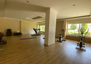 Пентхаус з панорамним видом на море в районі Тосмур