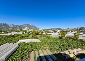 Пентхаус 3 + 1 у новому комплексі в районі Каргиджак