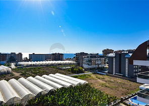 Пентхаус 3 + 1 у новому комплексі в районі Каргиджак