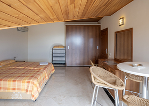 Мебльований пентхаус 4 + 1 з видом на море в центрі Аланії