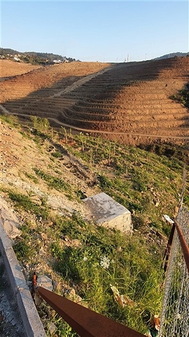 Земельна ділянка під будівництво вілли 