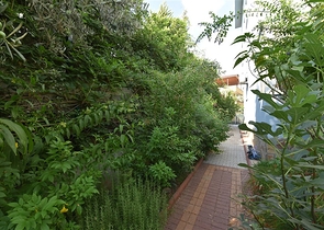 Вілла плануванням 6+1 з окремою кухнею в районі Кестель